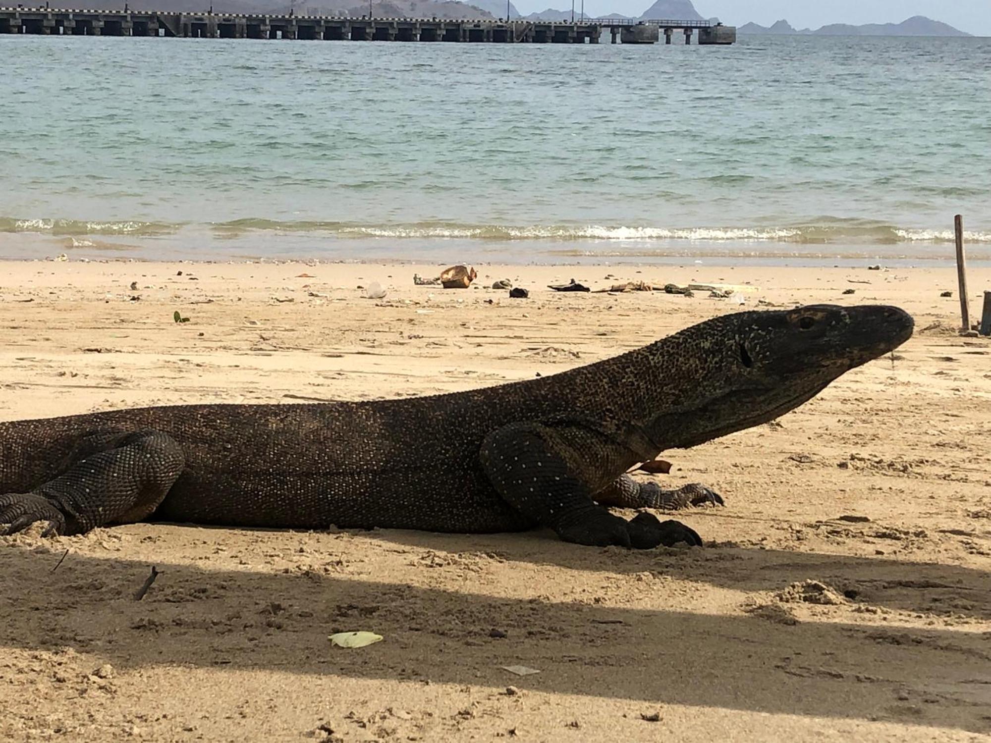 Dua Putri Komodo Homestay Eksteriør billede