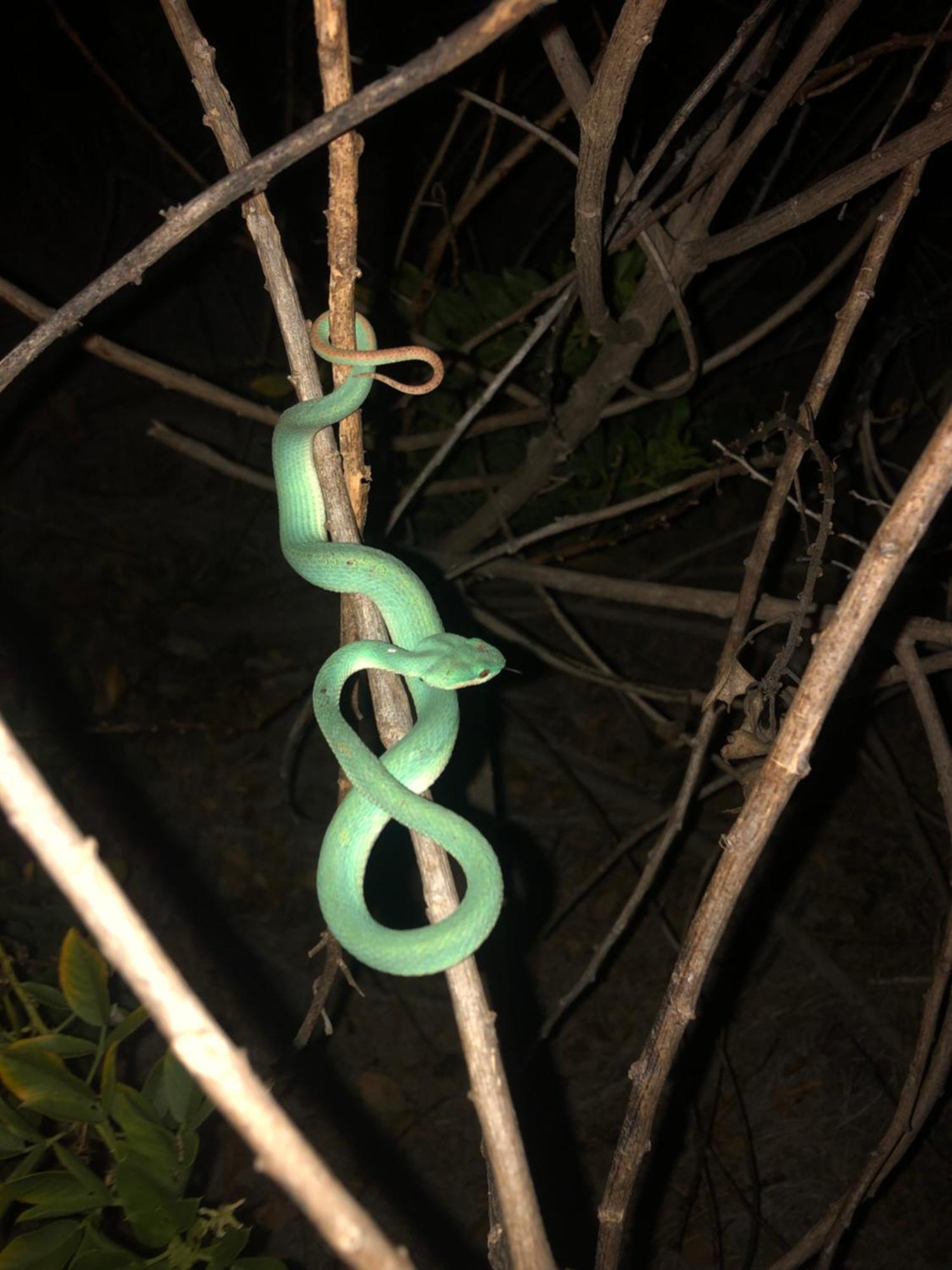 Dua Putri Komodo Homestay Eksteriør billede